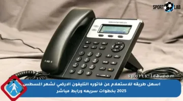 أسهل طريقة للاستعلام عن فاتورة التليفون الأرضي لشهر أغسطس 2025 بخطوات سريعة ورابط مباشر